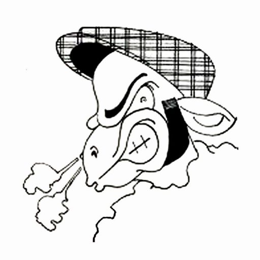 Lammkotze